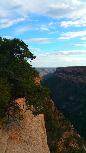 New Mexico Canyon